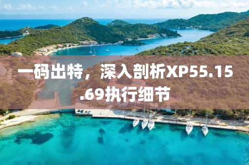 一碼出特，深入剖析XP55.15.69執(zhí)行細(xì)節(jié)