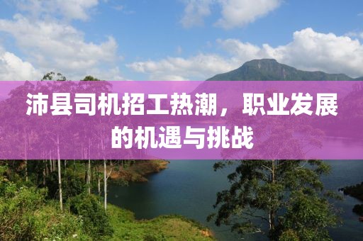 沛縣司機招工熱潮，職業(yè)發(fā)展的機遇與挑戰(zhàn)
