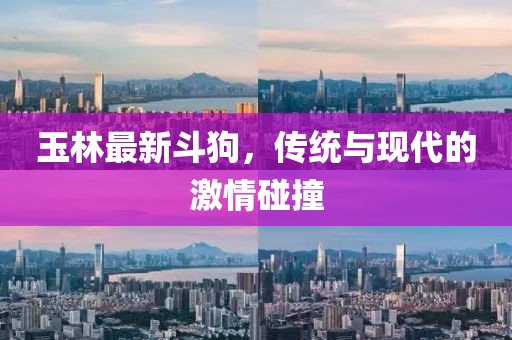 玉林最新斗狗，傳統(tǒng)與現(xiàn)代的激情碰撞