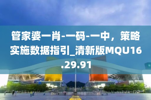 管家婆一肖-一碼-一中，策略實(shí)施數(shù)據(jù)指引_清新版MQU16.29.91