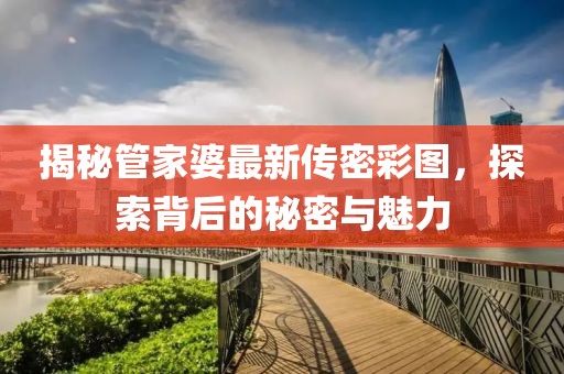 揭秘管家婆最新傳密彩圖，探索背后的秘密與魅力