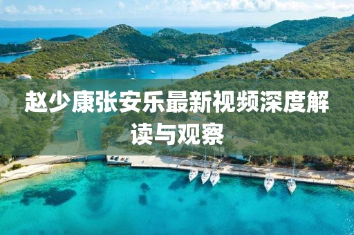 趙少康張安樂最新視頻深度解讀與觀察
