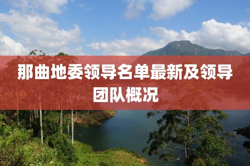 那曲地委領(lǐng)導(dǎo)名單最新及領(lǐng)導(dǎo)團(tuán)隊(duì)概況