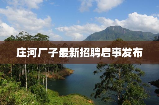 莊河廠子最新招聘啟事發(fā)布