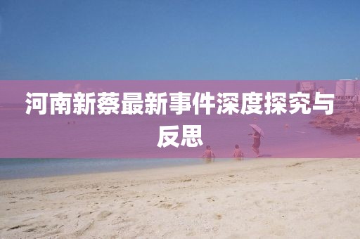 河南新蔡最新事件深度探究與反思