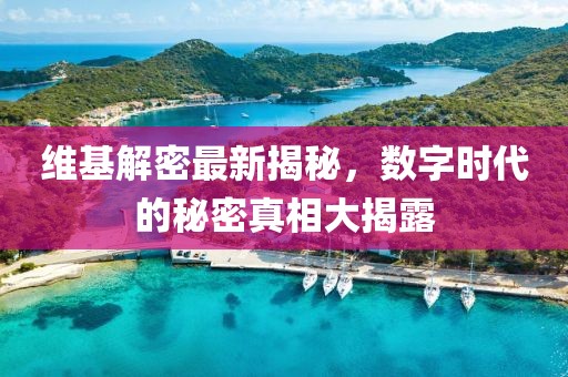 維基解密最新揭秘，數(shù)字時代的秘密真相大揭露