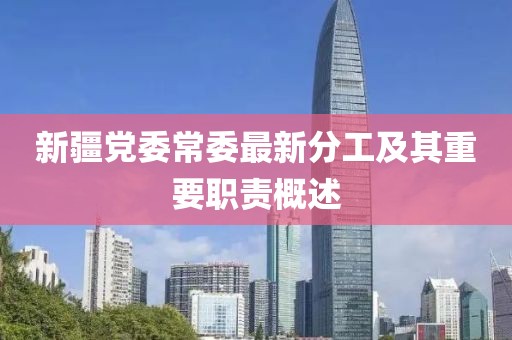 新疆黨委常委最新分工及其重要職責(zé)概述