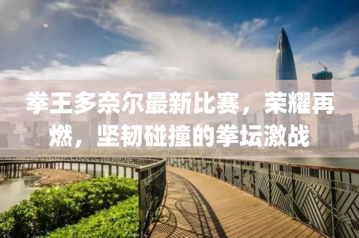 拳王多奈爾最新比賽，榮耀再燃，堅韌碰撞的拳壇激戰(zhàn)