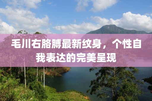 毛川右胳膊最新紋身，個(gè)性自我表達(dá)的完美呈現(xiàn)