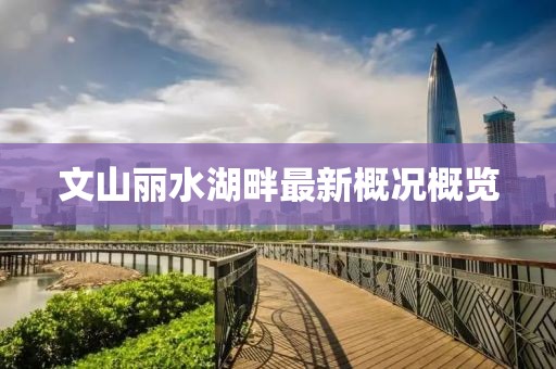 文山麗水湖畔最新概況概覽