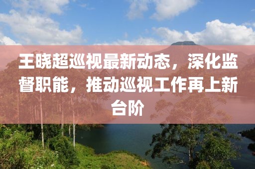 王曉超巡視最新動態(tài)，深化監(jiān)督職能，推動巡視工作再上新臺階
