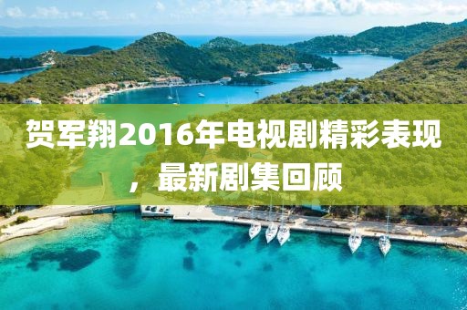 賀軍翔2016年電視劇精彩表現(xiàn)，最新劇集回顧