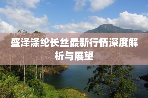盛澤滌綸長(zhǎng)絲最新行情深度解析與展望