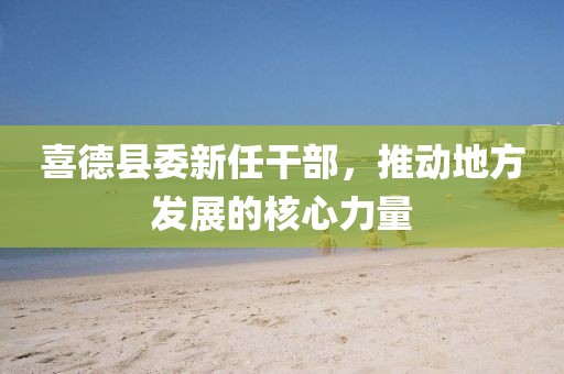 喜德縣委新任干部，推動(dòng)地方發(fā)展的核心力量