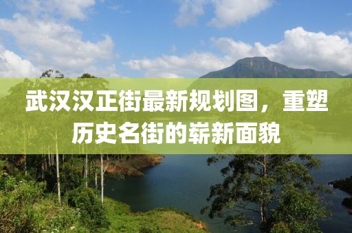 武漢漢正街最新規(guī)劃圖，重塑歷史名街的嶄新面貌