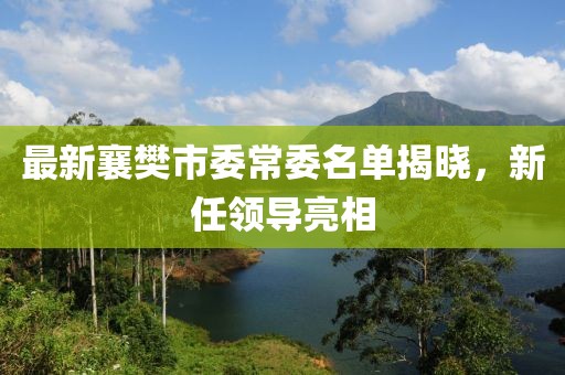最新襄樊市委常委名單揭曉，新任領(lǐng)導(dǎo)亮相