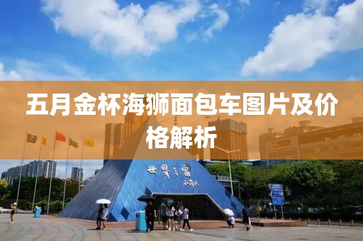 五月金杯海獅面包車圖片及價格解析