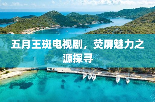 五月王斑電視劇，熒屏魅力之源探尋
