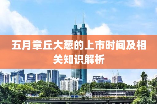 五月章丘大蔥的上市時間及相關(guān)知識解析