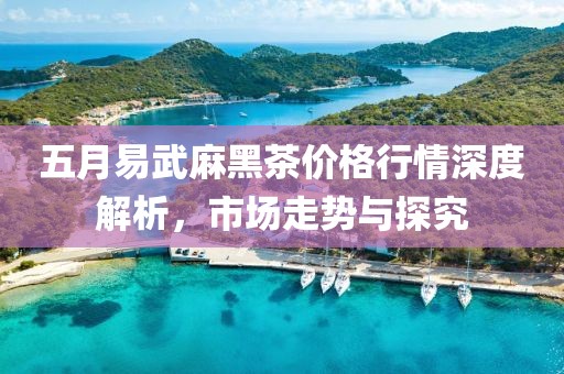 輕飛曼舞 第3頁(yè)