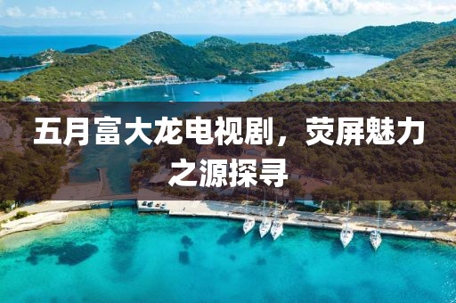 五月富大龍電視劇，熒屏魅力之源探尋