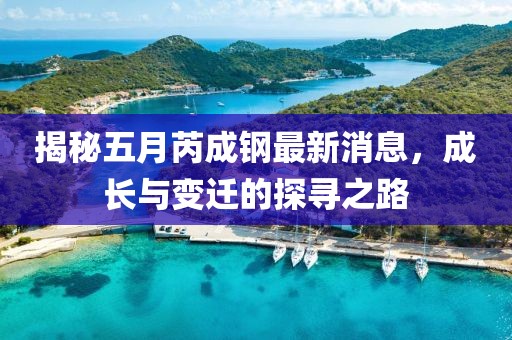 揭秘五月芮成鋼最新消息，成長與變遷的探尋之路