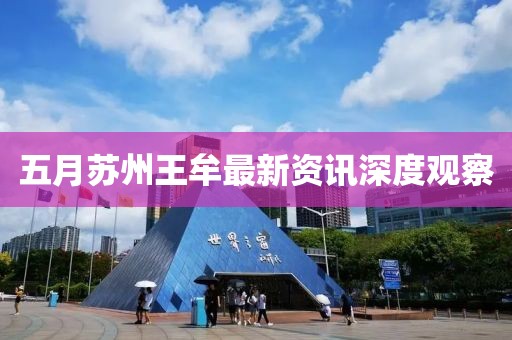 五月蘇州王牟最新資訊深度觀察