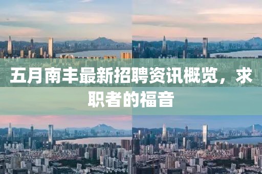 五月南豐最新招聘資訊概覽，求職者的福音