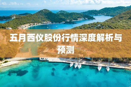 五月西儀股份行情深度解析與預測