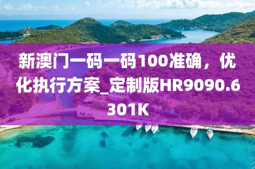 新澳門一碼一碼100準確，優(yōu)化執(zhí)行方案_定制版HR9090.6301K