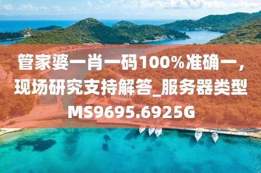 管家婆一肖一碼100%準(zhǔn)確一，現(xiàn)場(chǎng)研究支持解答_服務(wù)器類(lèi)型MS9695.6925G