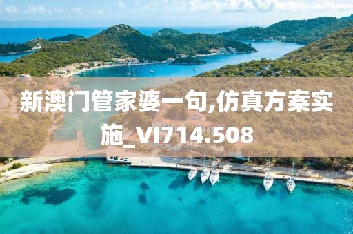 新澳門管家婆一句,仿真方案實施_VI714.508