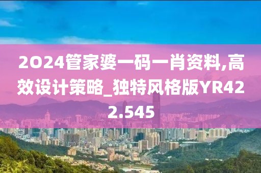 2O24管家婆一碼一肖資料,高效設計策略_獨特風格版YR422.545