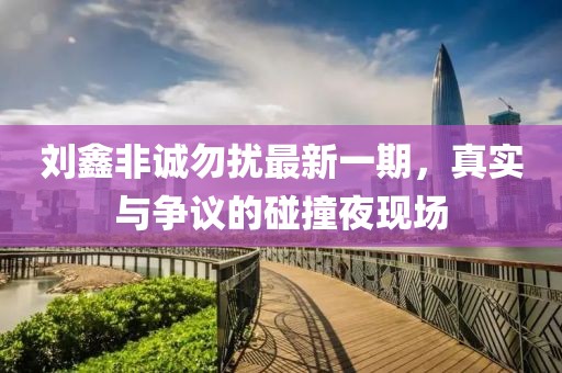 劉鑫非誠勿擾最新一期，真實與爭議的碰撞夜現(xiàn)場