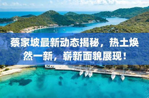 蔡家坡最新動態(tài)揭秘，熱土煥然一新，嶄新面貌展現(xiàn)！