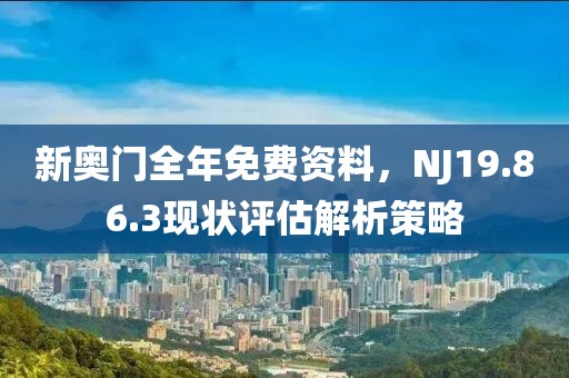 新奧門全年免費資料，NJ19.86.3現(xiàn)狀評估解析策略